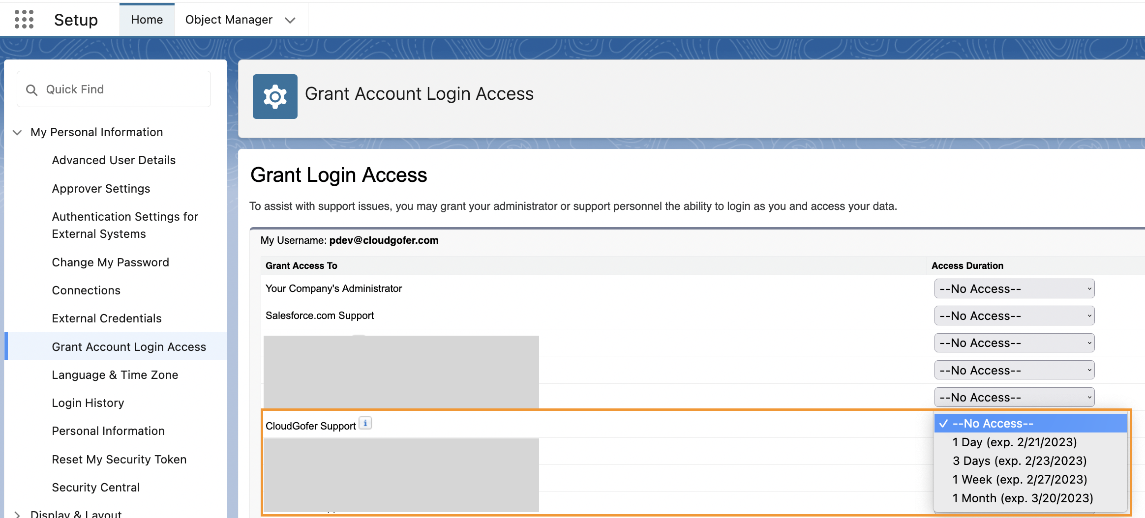 Grant Access to CloudGofer Support